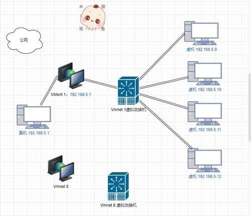 虚机安装linux网络配置的一些笔记 真机公网互通,集群节点互通