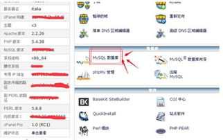 免备案虚拟主机搭建网站的具体步骤