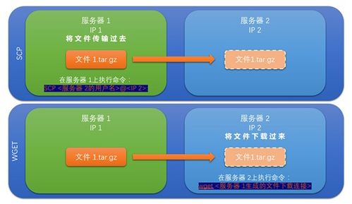 Linux虚拟主机网站数据迁移指南