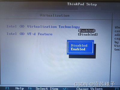 ThinkPad配置虚拟机时“Intel VT-x 处于禁用状态”的解决方法